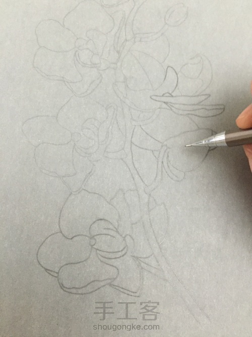 零基础自学水彩不到1年时间竟能画成这样!! 第7步