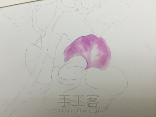 零基础自学水彩不到1年时间竟能画成这样!! 第13步