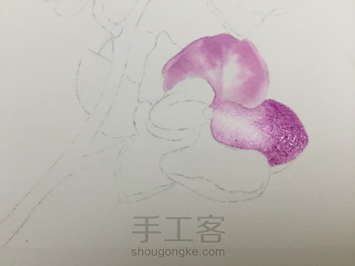 零基础自学水彩不到1年时间竟能画成这样!! 第14步