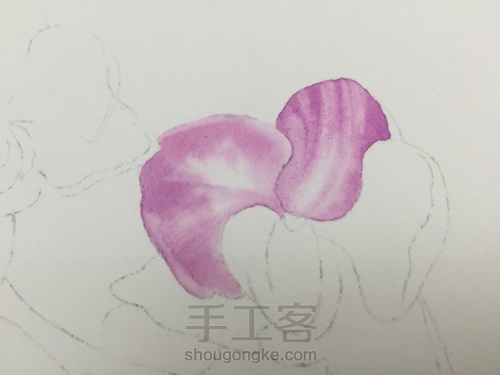 零基础自学水彩不到1年时间竟能画成这样!! 第15步