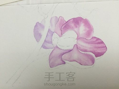 零基础自学水彩不到1年时间竟能画成这样!! 第16步