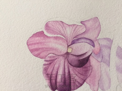 零基础自学水彩不到1年时间竟能画成这样！！ 第18步