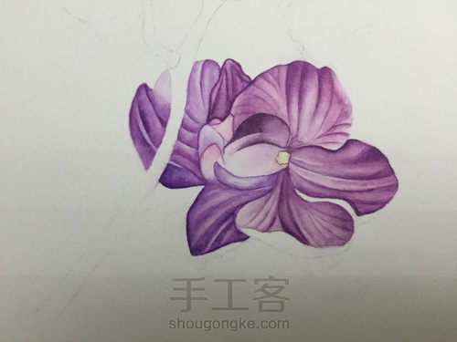 零基础自学水彩不到1年时间竟能画成这样!! 第19步