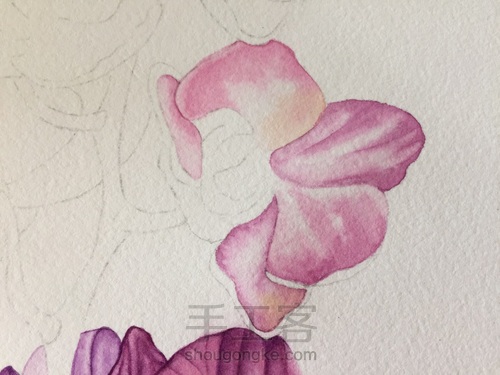 零基础自学水彩不到1年时间竟能画成这样!! 第21步