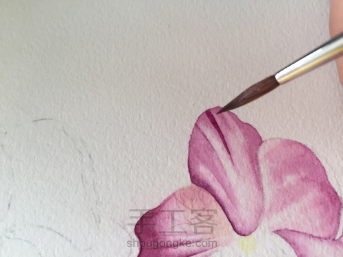 零基础自学水彩不到1年时间竟能画成这样！！ 第23步