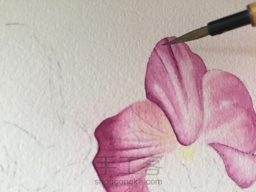 零基础自学水彩不到1年时间竟能画成这样！！ 第24步