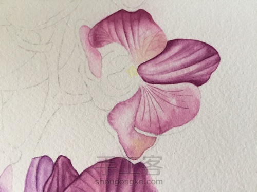 零基础自学水彩不到1年时间竟能画成这样!! 第25步