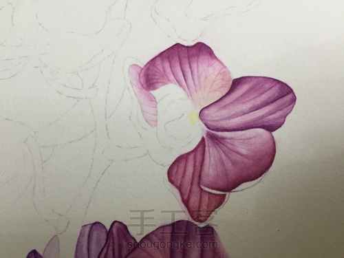 零基础自学水彩不到1年时间竟能画成这样!! 第26步