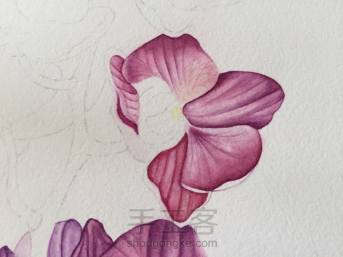 零基础自学水彩不到1年时间竟能画成这样!! 第27步