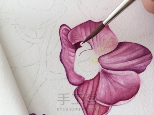 零基础自学水彩不到1年时间竟能画成这样!! 第28步