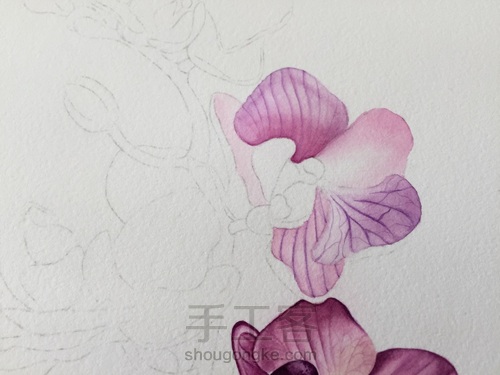 零基础自学水彩不到1年时间竟能画成这样!! 第29步