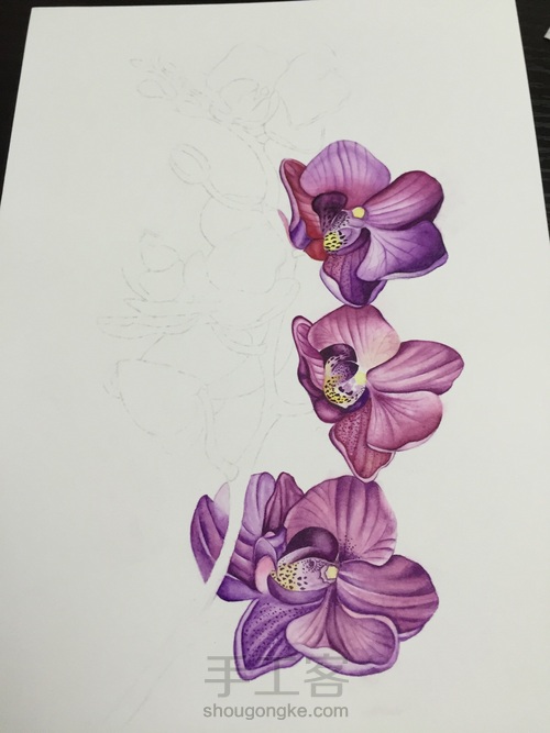 零基础自学水彩不到1年时间竟能画成这样!! 第30步