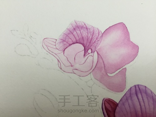 零基础自学水彩不到1年时间竟能画成这样!! 第31步