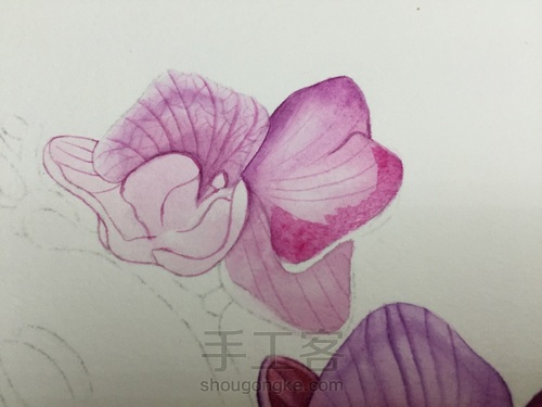 零基础自学水彩不到1年时间竟能画成这样!! 第32步