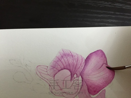 零基础自学水彩不到1年时间竟能画成这样!! 第33步