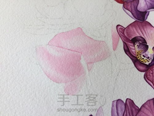 零基础自学水彩不到1年时间竟能画成这样!! 第36步