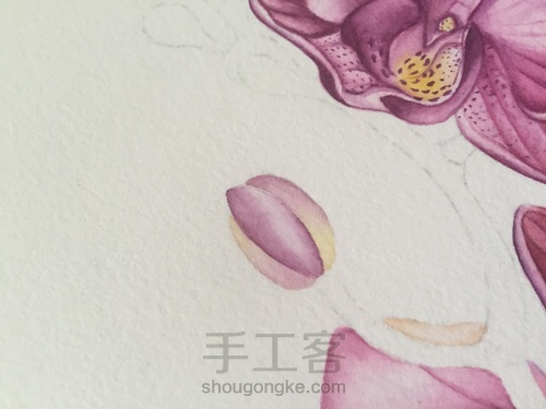 零基础自学水彩不到1年时间竟能画成这样!! 第39步