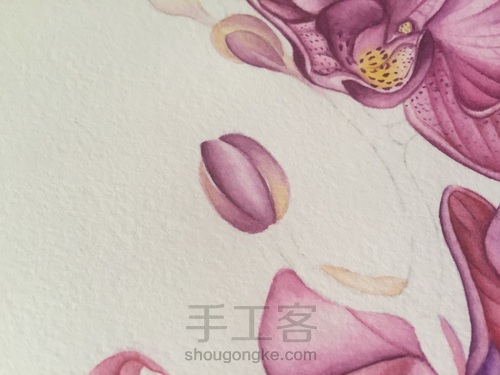 零基础自学水彩不到1年时间竟能画成这样!! 第40步