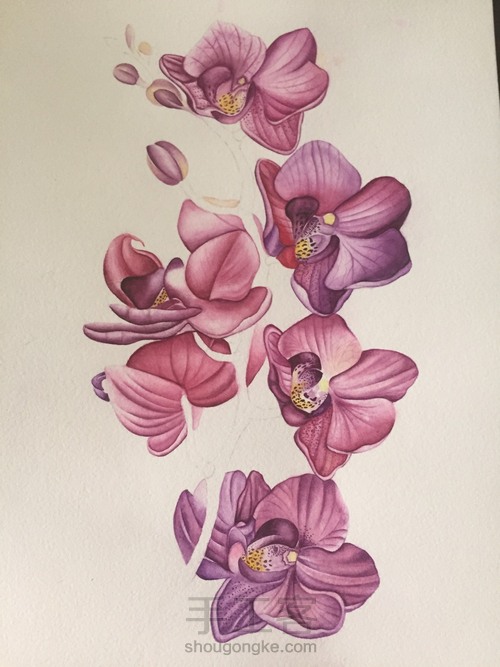 零基础自学水彩不到1年时间竟能画成这样!! 第41步