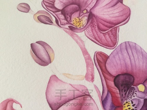 零基础自学水彩不到1年时间竟能画成这样!! 第42步