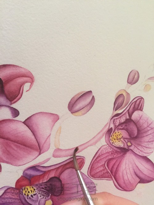 零基础自学水彩不到1年时间竟能画成这样!! 第43步