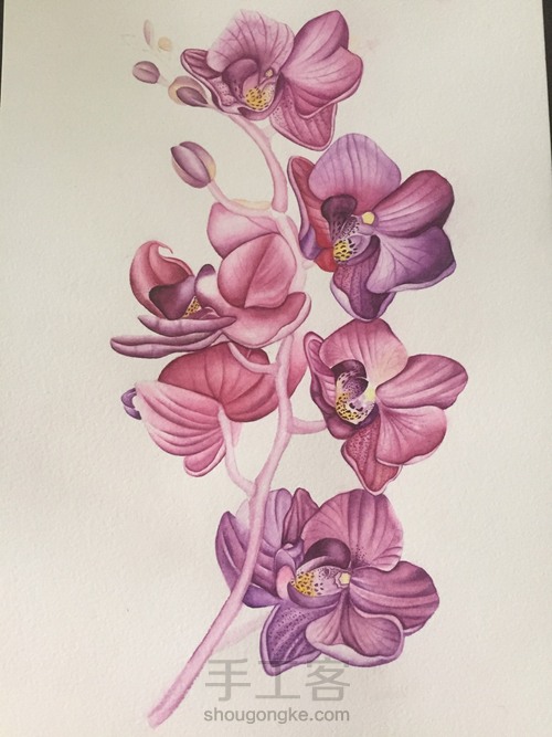 零基础自学水彩不到1年时间竟能画成这样!! 第44步