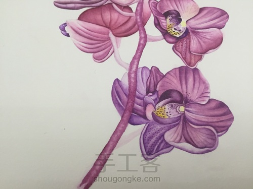 零基础自学水彩不到1年时间竟能画成这样!! 第45步