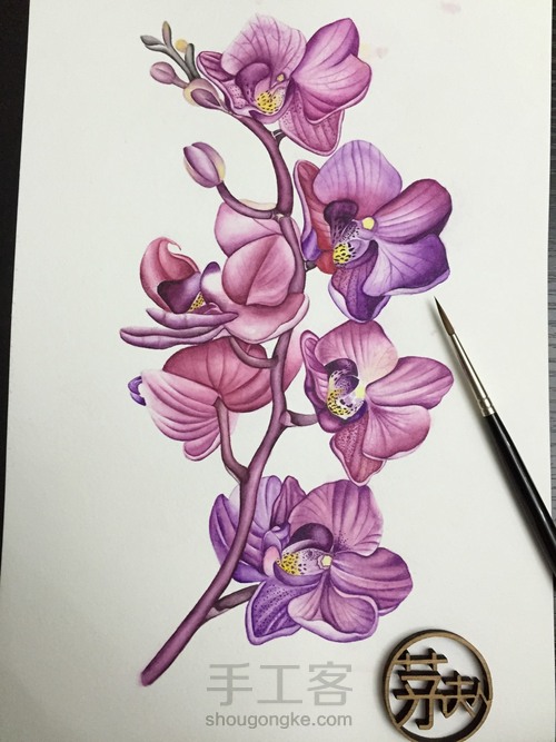 零基础自学水彩不到1年时间竟能画成这样!! 第49步