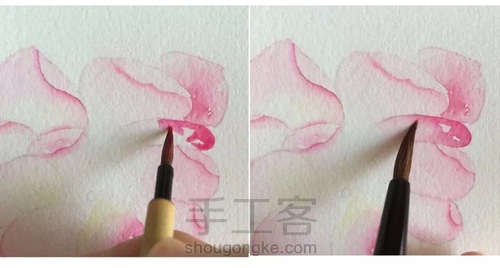 零基础入水彩坑，如何挑选毛笔？ 第25步