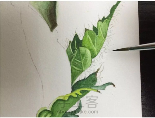 零基础入水彩坑,如何挑选毛笔? 第32步