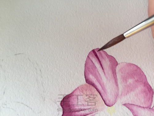 零基础入水彩坑，如何挑选毛笔？ 第44步