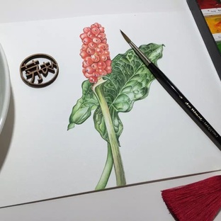 水彩入门干货之如何画圆形的蔬果才会有立体感！