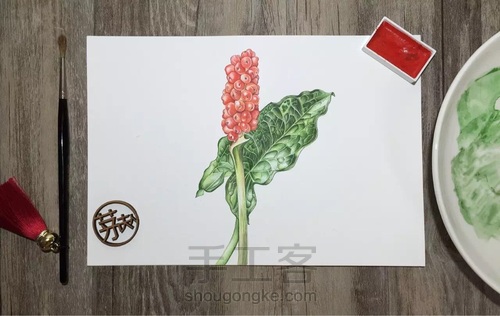 水彩入门干货之如何画圆形的蔬果才会有立体感！ 第1步