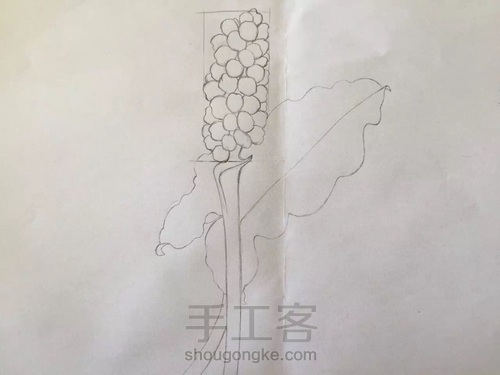 水彩入门干货之如何画圆形的蔬果才会有立体感！ 第7步