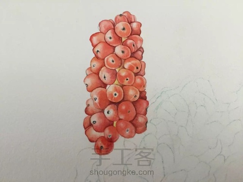 水彩入门干货之如何画圆形的蔬果才会有立体感！ 第13步