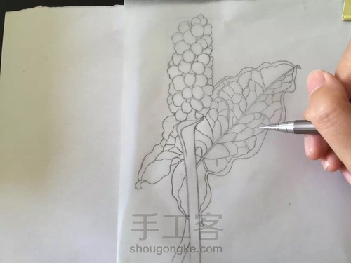 水彩入门干货之如何画圆形的蔬果才会有立体感! 第16步