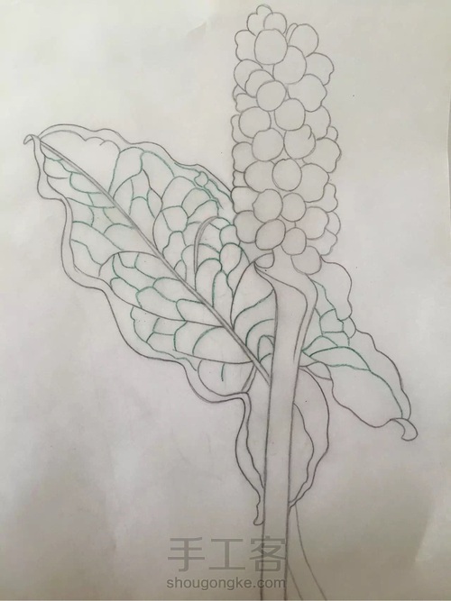 水彩入门干货之如何画圆形的蔬果才会有立体感! 第17步