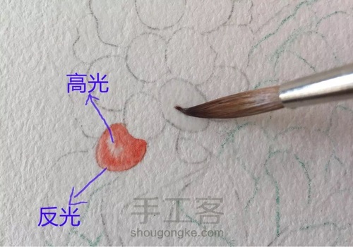 水彩入门干货之如何画圆形的蔬果才会有立体感！ 第20步