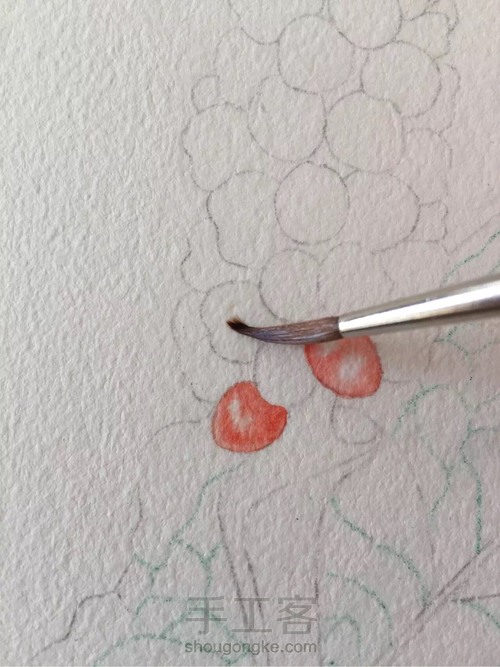 水彩入门干货之如何画圆形的蔬果才会有立体感！ 第21步