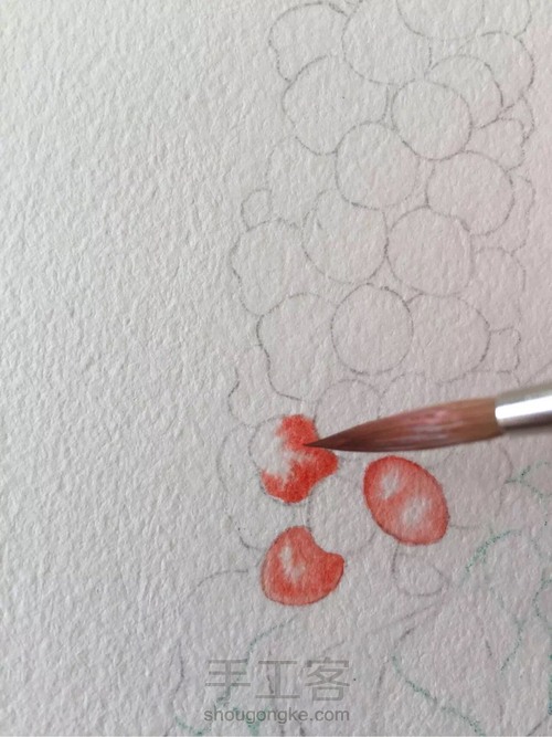 水彩入门干货之如何画圆形的蔬果才会有立体感！ 第22步