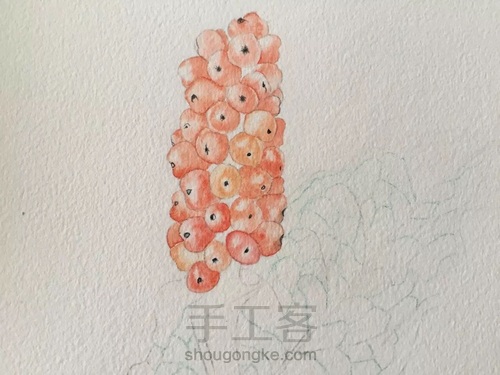 水彩入门干货之如何画圆形的蔬果才会有立体感！ 第24步