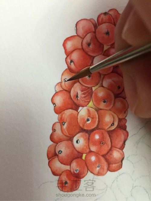 水彩入门干货之如何画圆形的蔬果才会有立体感！ 第30步