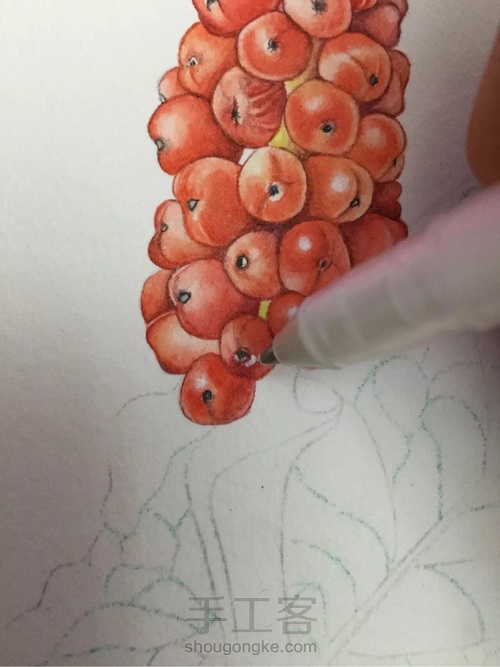 水彩入门干货之如何画圆形的蔬果才会有立体感! 第31步