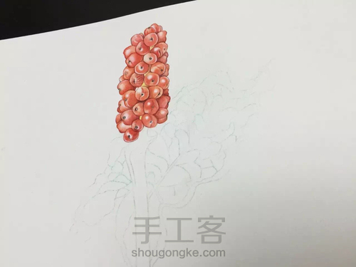 水彩入门干货之如何画圆形的蔬果才会有立体感！ 第33步