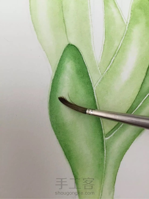 都说调色很难！本文教大家如何调出风信子的”紫蓝色“！ 第11步