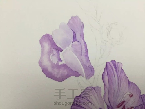 都说调色很难！本文教大家如何调出风信子的”紫蓝色“！ 第20步