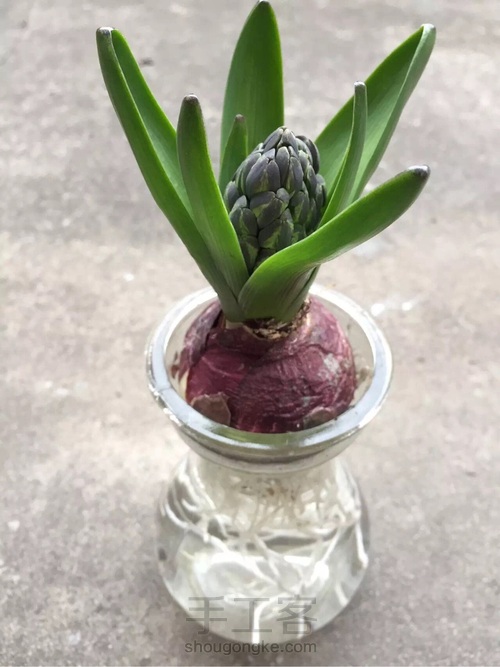 都说调色很难！本文教大家如何调出风信子的”紫蓝色“！ 第27步