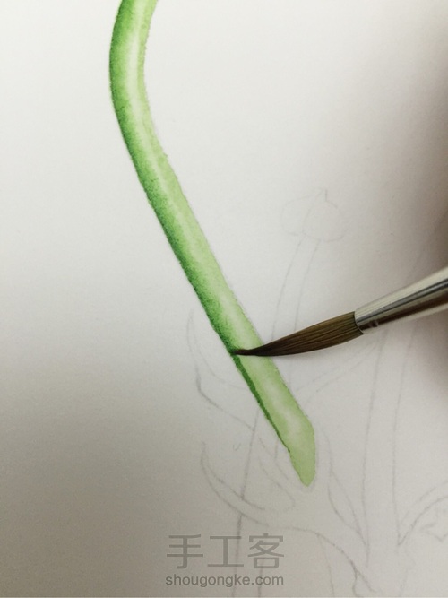 颜料篇丨如何掌控水彩画的水份? 第7步