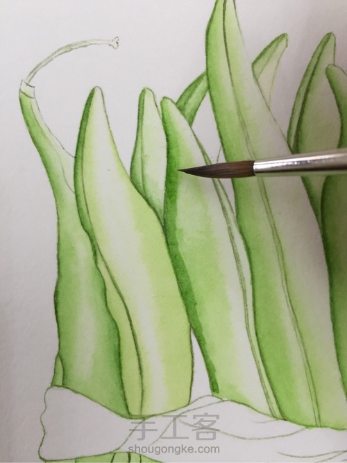 颜料篇丨如何掌控水彩画的水份? 第11步