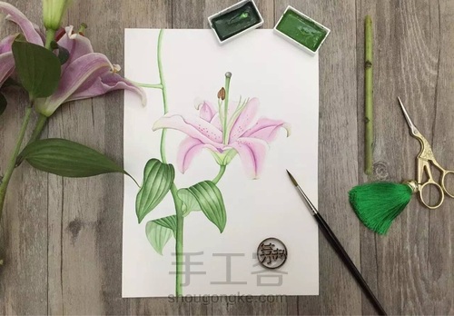 颜料篇丨如何掌控水彩画的水份? 第13步